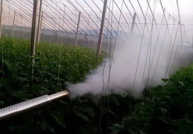 烟雾机消毒使用探讨 图2