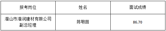 潜润集团公开招聘建材公司副总经理考察人员公示 图1
