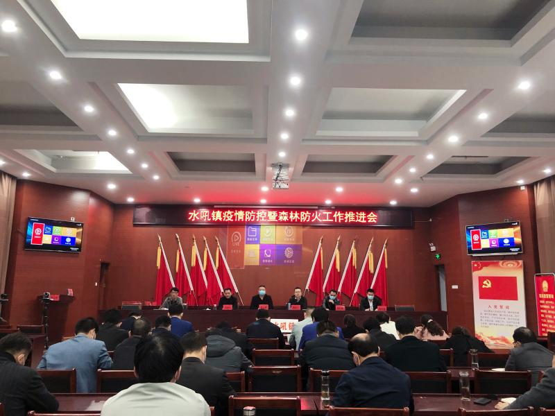 水吼镇召开疫情防控暨森林防火工作推进会 图1