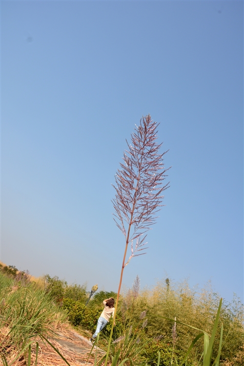 2019年11月03日|潜山登协走渠巡河徒步活动第二期花絮 图13