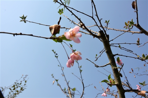 2019年11月03日|潜山登协走渠巡河徒步活动第二期花絮 图15