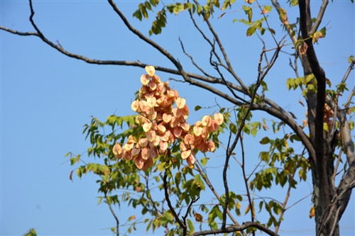 2019年11月03日|潜山登协走渠巡河徒步活动第二期花絮 图25