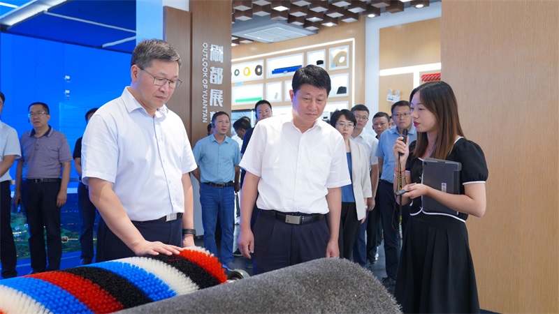 简讯：望江县党政代表团来潜考察 图4