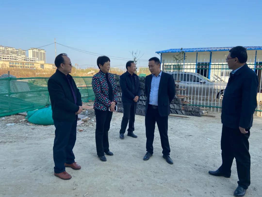 潜山市人大常委会主任黄银枝率队来中合产业园调研 图4