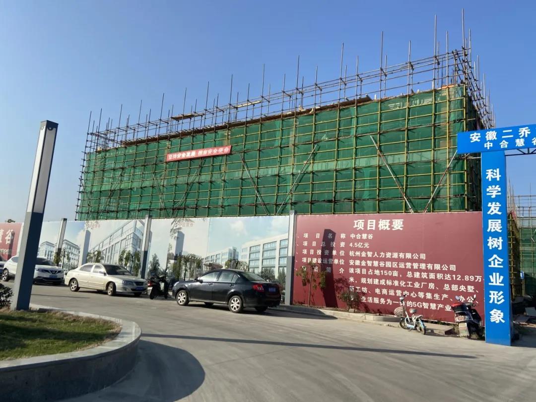 潜山市人大常委会主任黄银枝率队来中合产业园调研 图5
