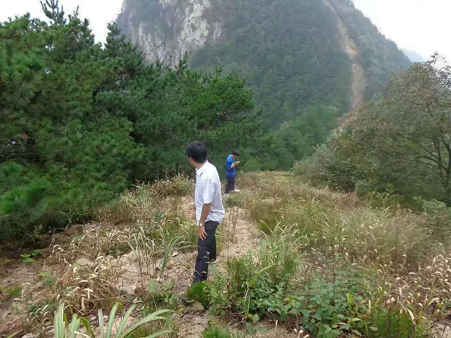 微信图片_20180417001614.jpg
