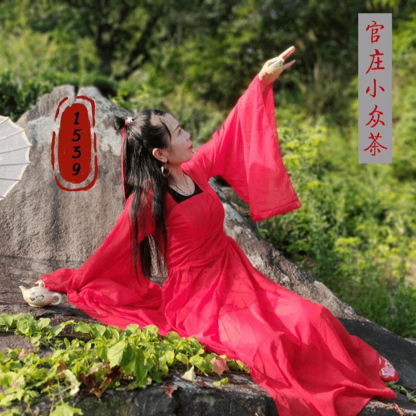 电商为“山珍”插上飞出大山的翅膀——光华村第一书记王堃的报道 图3