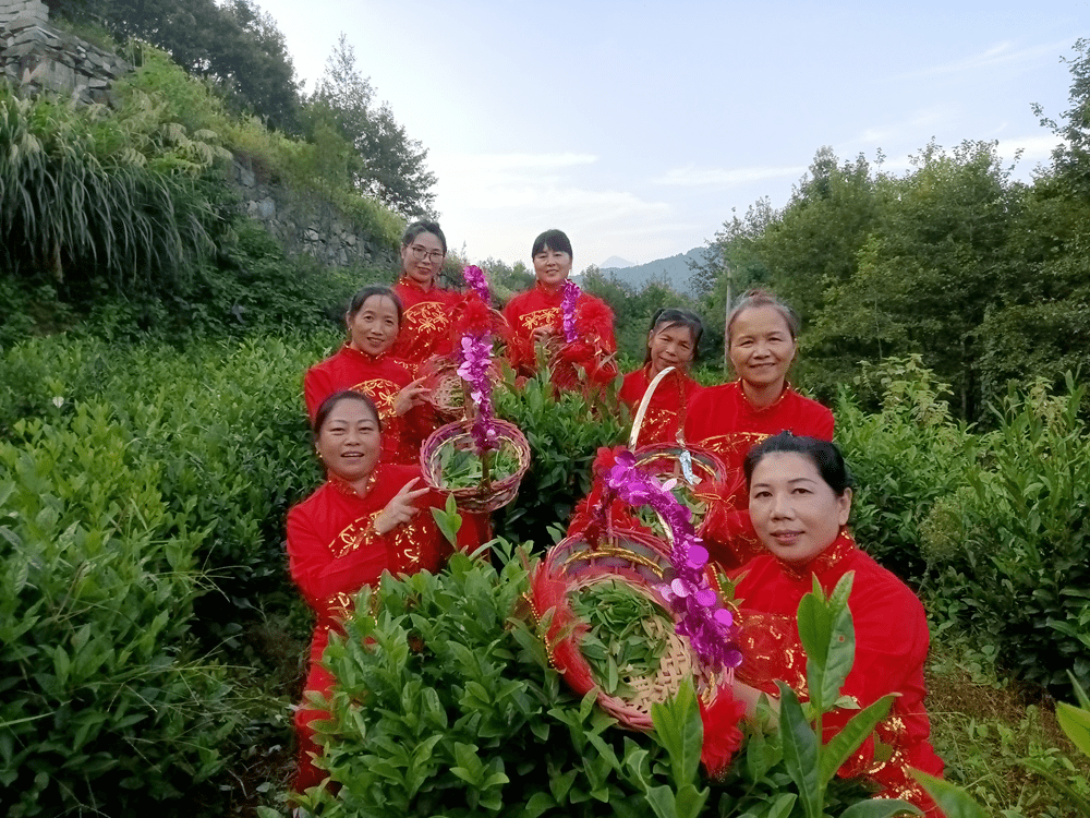 电商为“山珍”插上飞出大山的翅膀——光华村第一书记王堃的报道 图5