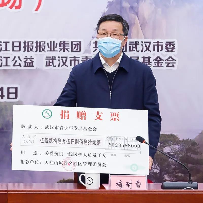 潜山市举行“大爱天柱•情系武汉”云捐赠仪式 图4