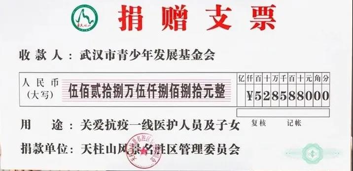 潜山市举行“大爱天柱•情系武汉”云捐赠仪式 图9