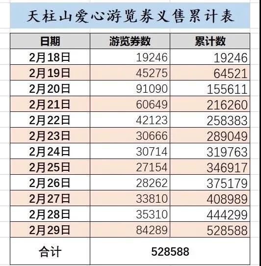 潜山市举行“大爱天柱•情系武汉”云捐赠仪式 图8